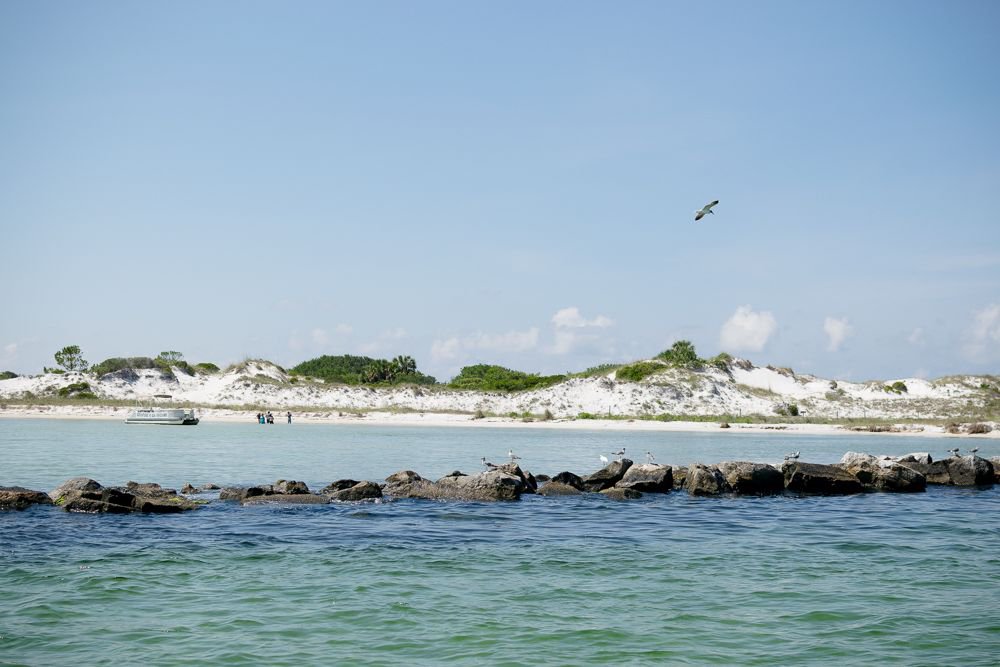 Things To Do https://emeraldbeachproperties.icnd-cdn.com/images/thingstodo/St Andrews park.jpg